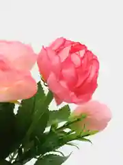 Конфетный искусственные цветы, красивый букет из пионов, высота 38 см