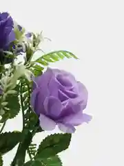 Аметистовый искусственные цветы, букет из роз, двуцветные, высота 33 см