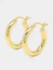 Золотой серьги Horseshoe