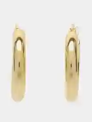 Золотой серьги Horseshoe