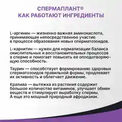 БАД Эвалар "СпермаПлант", 20 саше по 3,5 г