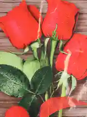 Алый подарочный пакет,подарок 19*29см
