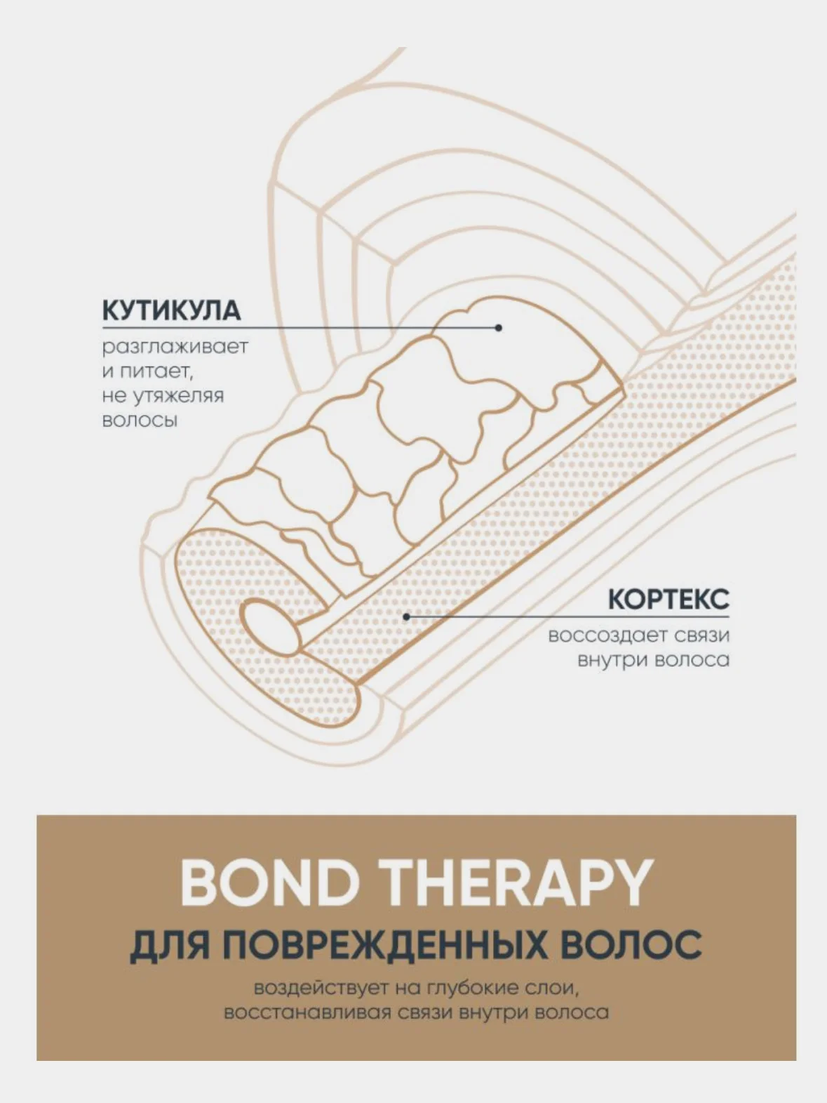 Кондиционер Bond Therapy Для поврежденных волос biolage 200 мл