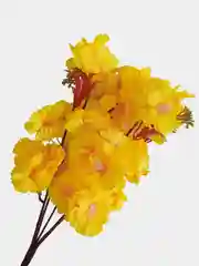 Желтый искуственные цветы "Сакура", розовая, белая, желтая