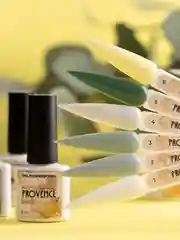 Мятный гель-лак для ногтей TNL Provence