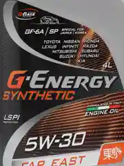 Масло моторное G-Energy Far East 5W-30, синтетика