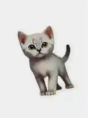 Вишнёвый стикеры мемы "Котики", 50 шт