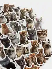 Вишнёвый стикеры мемы "Котики", 50 шт