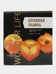 Солевая лампа Wonder Life Круг-5 "Единорог" 2-3 кг