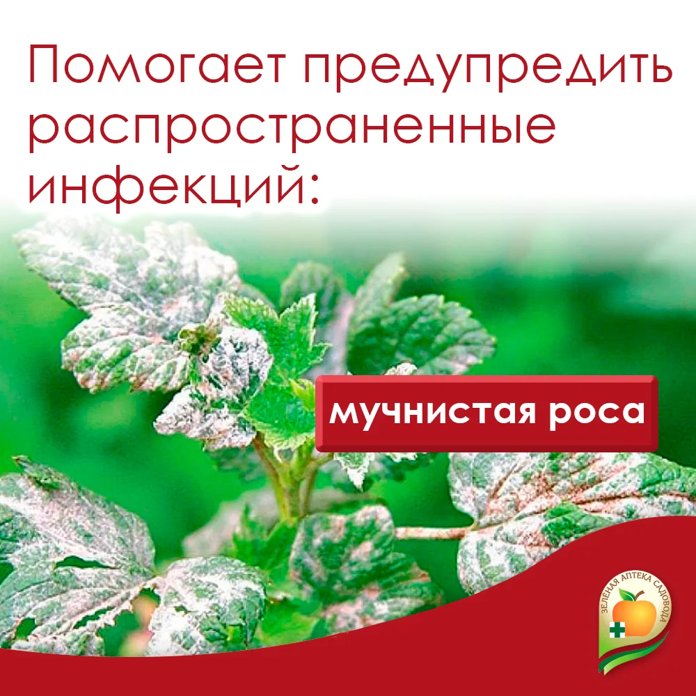 HB-101 удобрение жидкое для растений Стимулятор роста 6мл