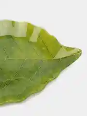 Блюдо "Лист" 31х19х2 см 3941251