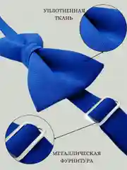 Бабочка синяя
