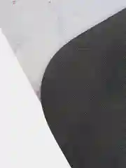 Фиолетовый коврик для ванной и туалета противоскользящий КАРТОФАН быстросохнущий, нескользящий,мрамор