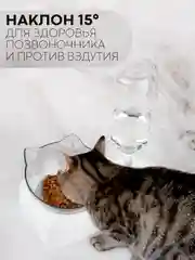 Миска для корма кошек и собак КАРТОФАН пластиковая, на подставке с автопоилкой, 4 вида