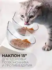 Прозрачный миска для корма кошек и собак КАРТОФАН пластиковая, на подставке с автопоилкой, 4 вида