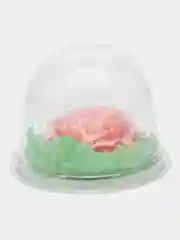 Кораллово-розовый подарочное мыло цветок в куполе