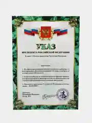 Подарочный диплом с приколом Печатник "Указ президента РФ"