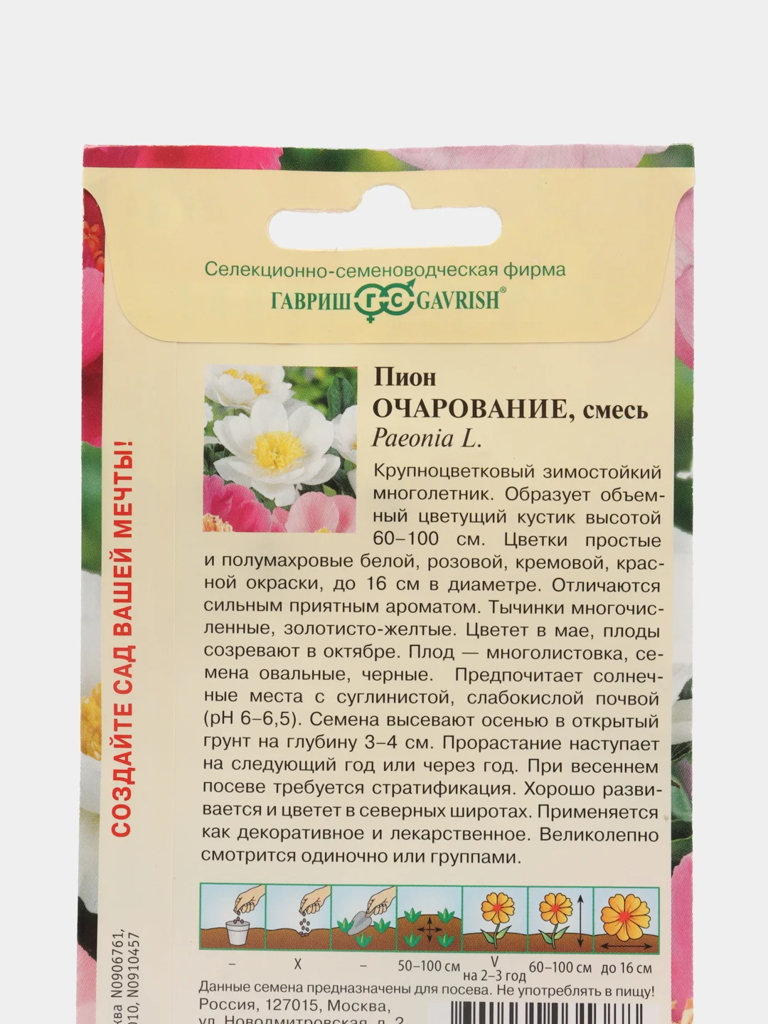 Пион средний Очарование (семена,цветы)