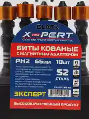Биты кованые магнитные 65 мм PH2 10 шт