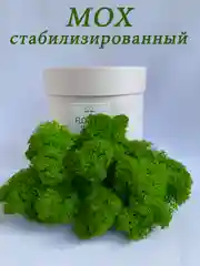 Зеленый мох стабилизированный для декора,кашпо
