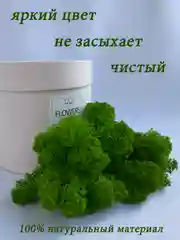 Зеленый мох стабилизированный для декора,кашпо