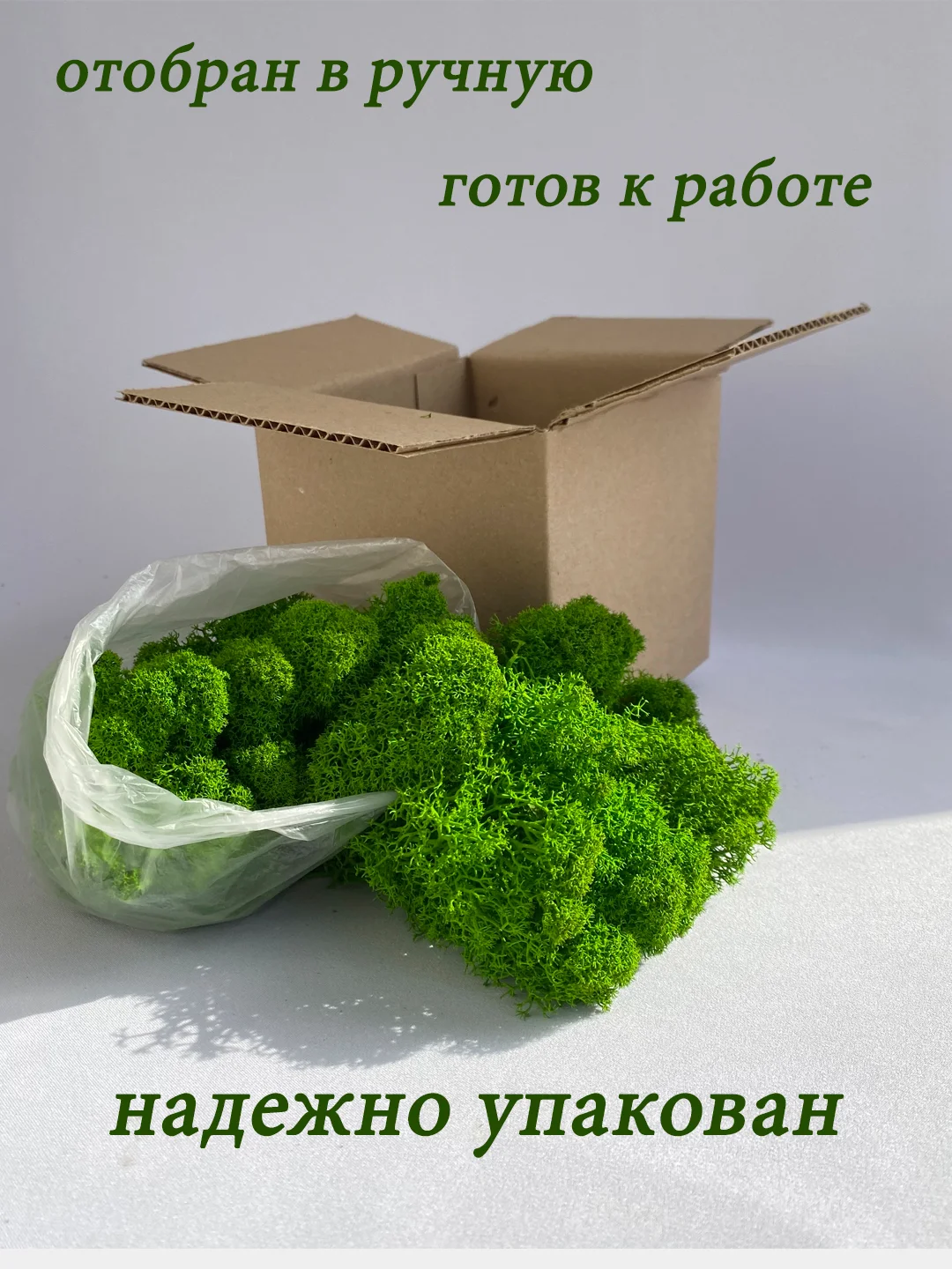 Зеленый мох стабилизированный для декора,кашпо