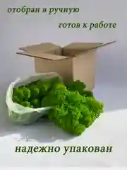 Зеленый мох стабилизированный для декора,кашпо