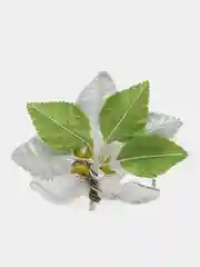 Серебряный бутоньерка