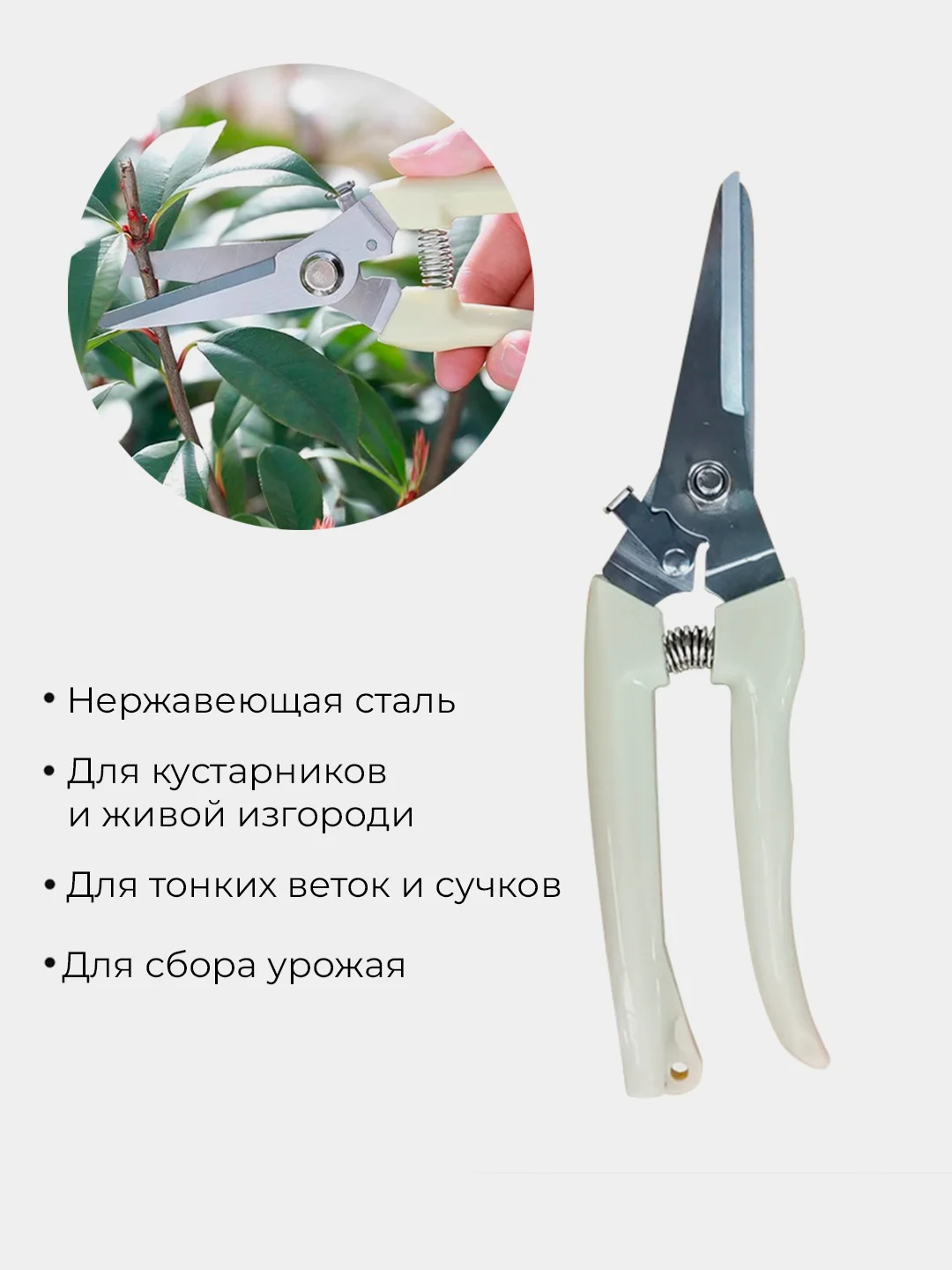 Молочный секатор садовый, ножницы садовые для растений, веток и травы