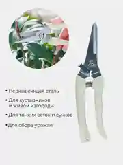 Молочный секатор садовый, ножницы садовые для растений, веток и травы