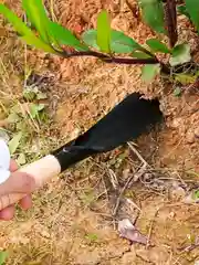 Черный совок посадочный садовый, лопатка для выкапывания сорняков