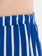 Ледяной шорты мужские