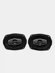 Автомобильные овальные колонки Pioneer TS-6995R