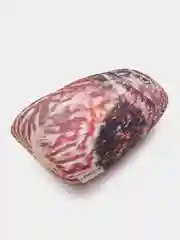 Песочный хаки антистресс подушка птицы (ворона, снегирь, воробей, сова)