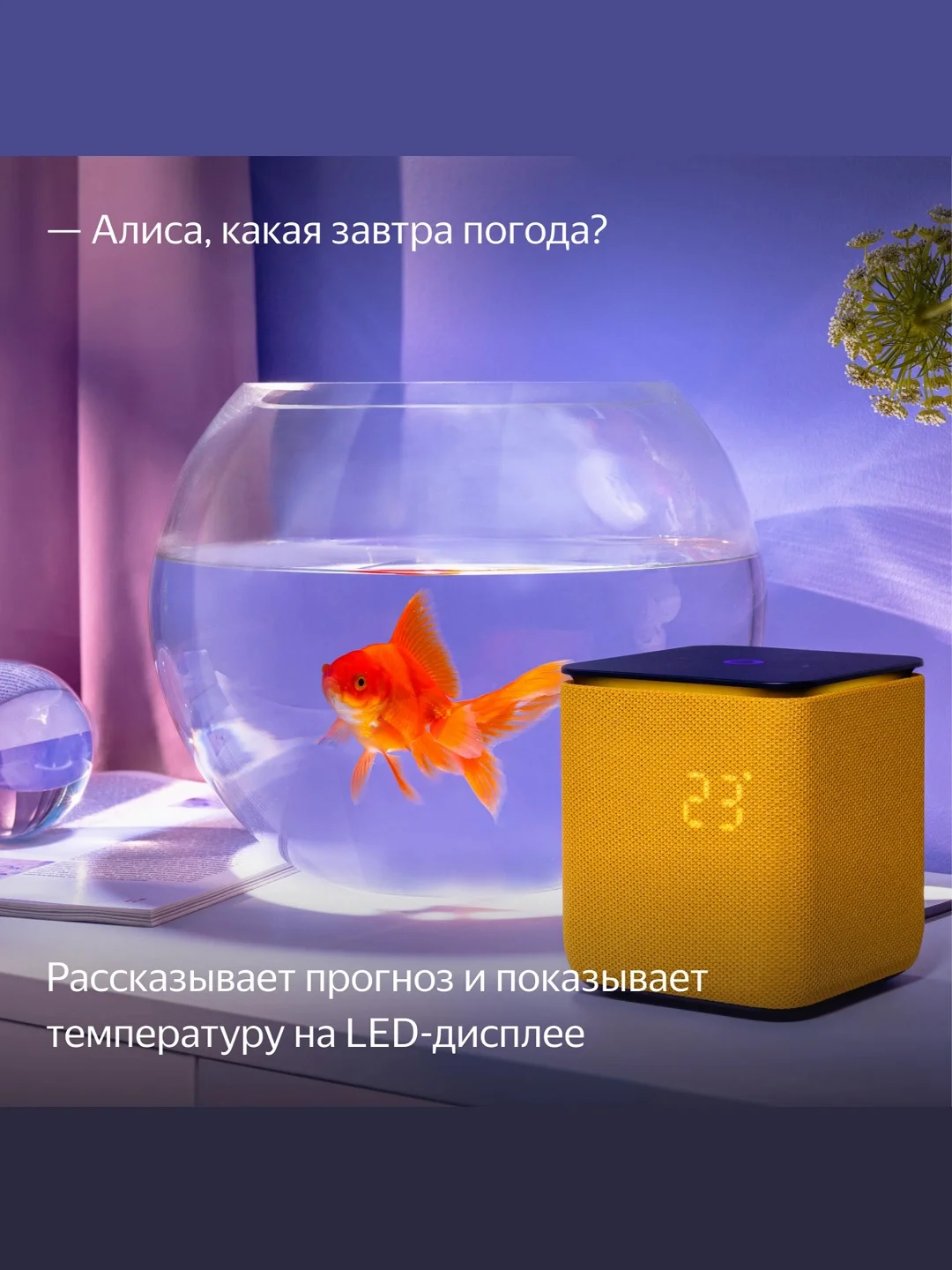 Оранжевый умная колонка Яндекс Станция Миди (24Вт) с часами, Zigbee и Алисой на нейрости YandexGPT