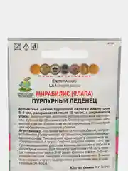 Мирабилис Пурпурный леденец, семена, Поиск