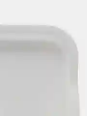 Поднос (25*29 см)
