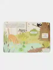 Книжка с окошками. Кто в лесу живет