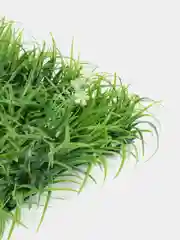 Лесной зеленый искусственная трава-газон