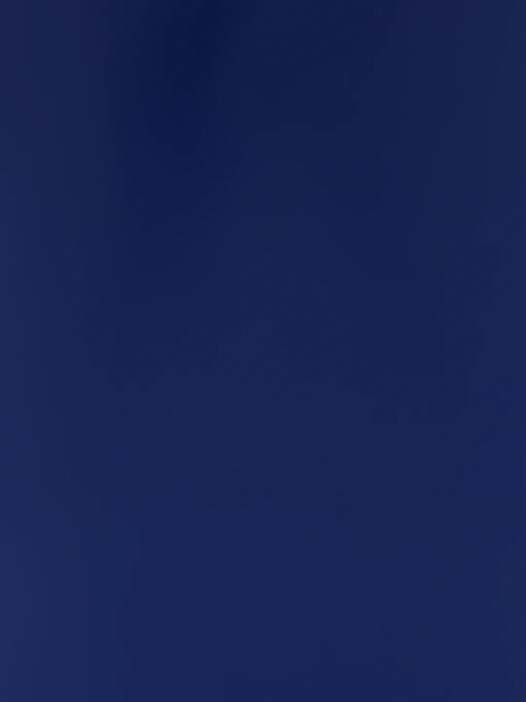 Фон для аквариумов EBI "Black & Blue", 80х40см