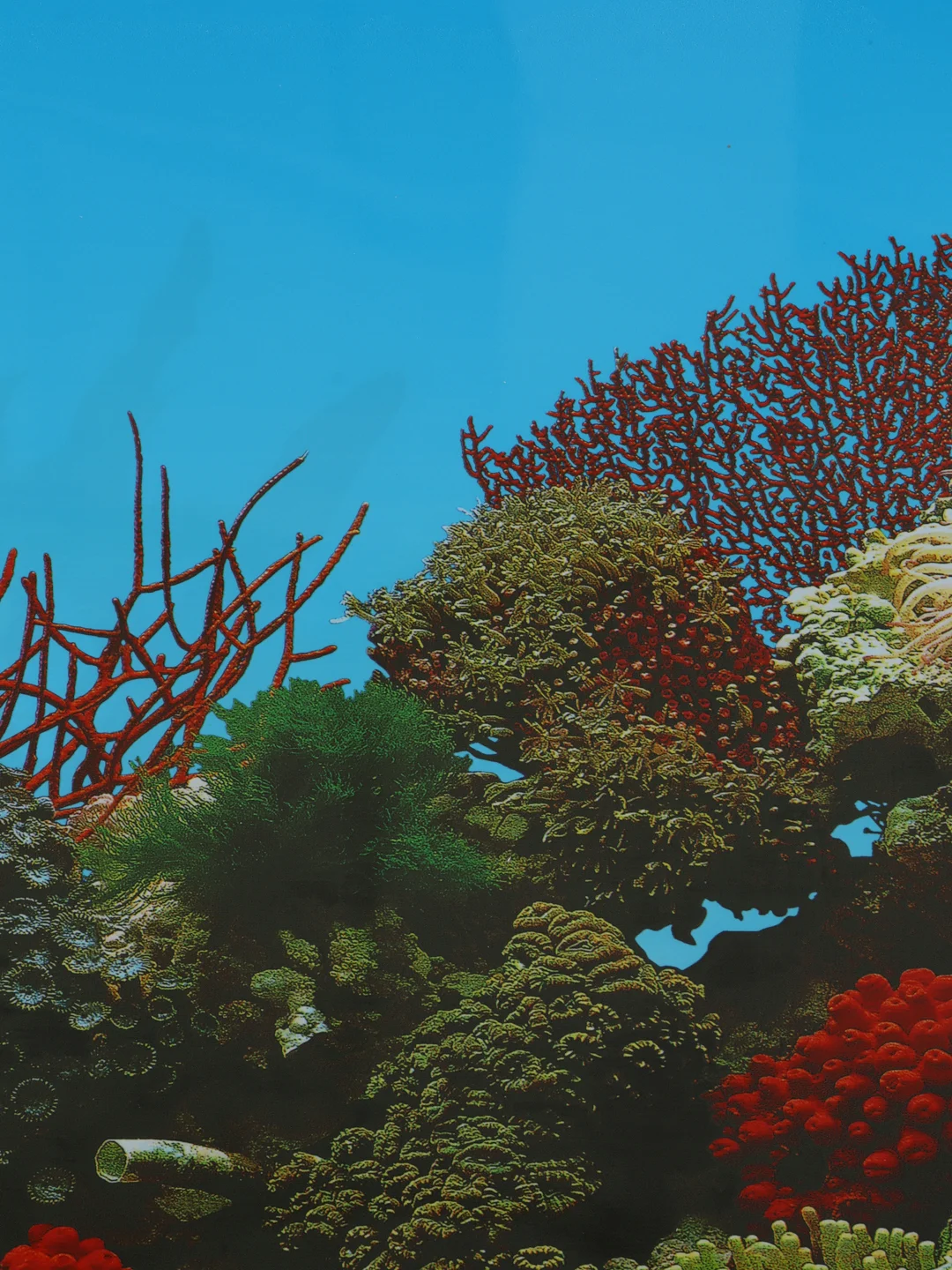 Фон для аквариумов EBI "Stone & Coral", 80х40см