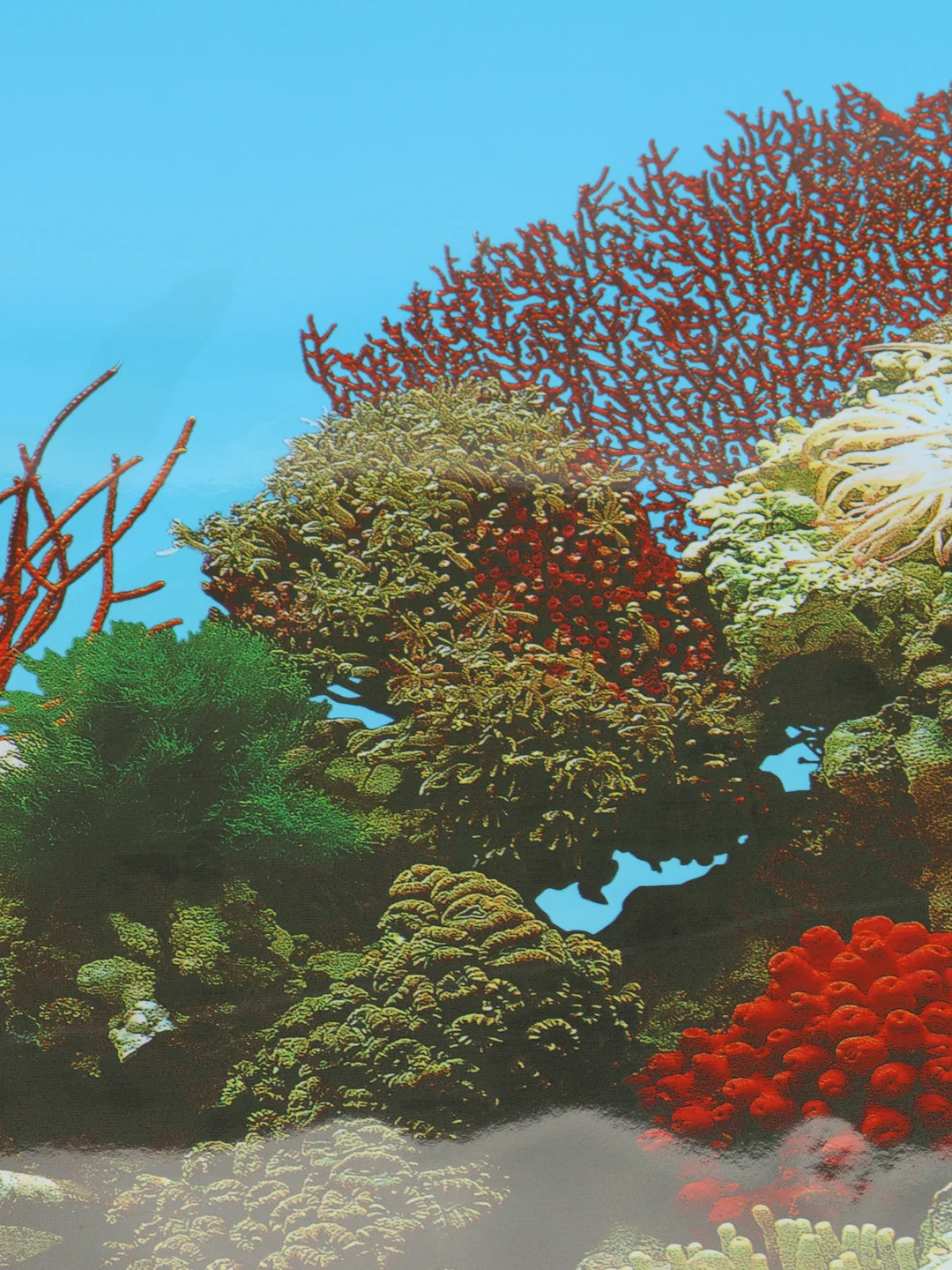 Фон для аквариумов EBI "Stone & Coral", 80х40см