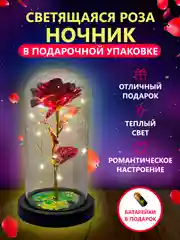 Красный ночник "Роза в колбе", с подсветкой для подарка родным и близким людям