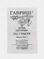 Аметистовый астра, семена