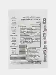 Алый астра, семена