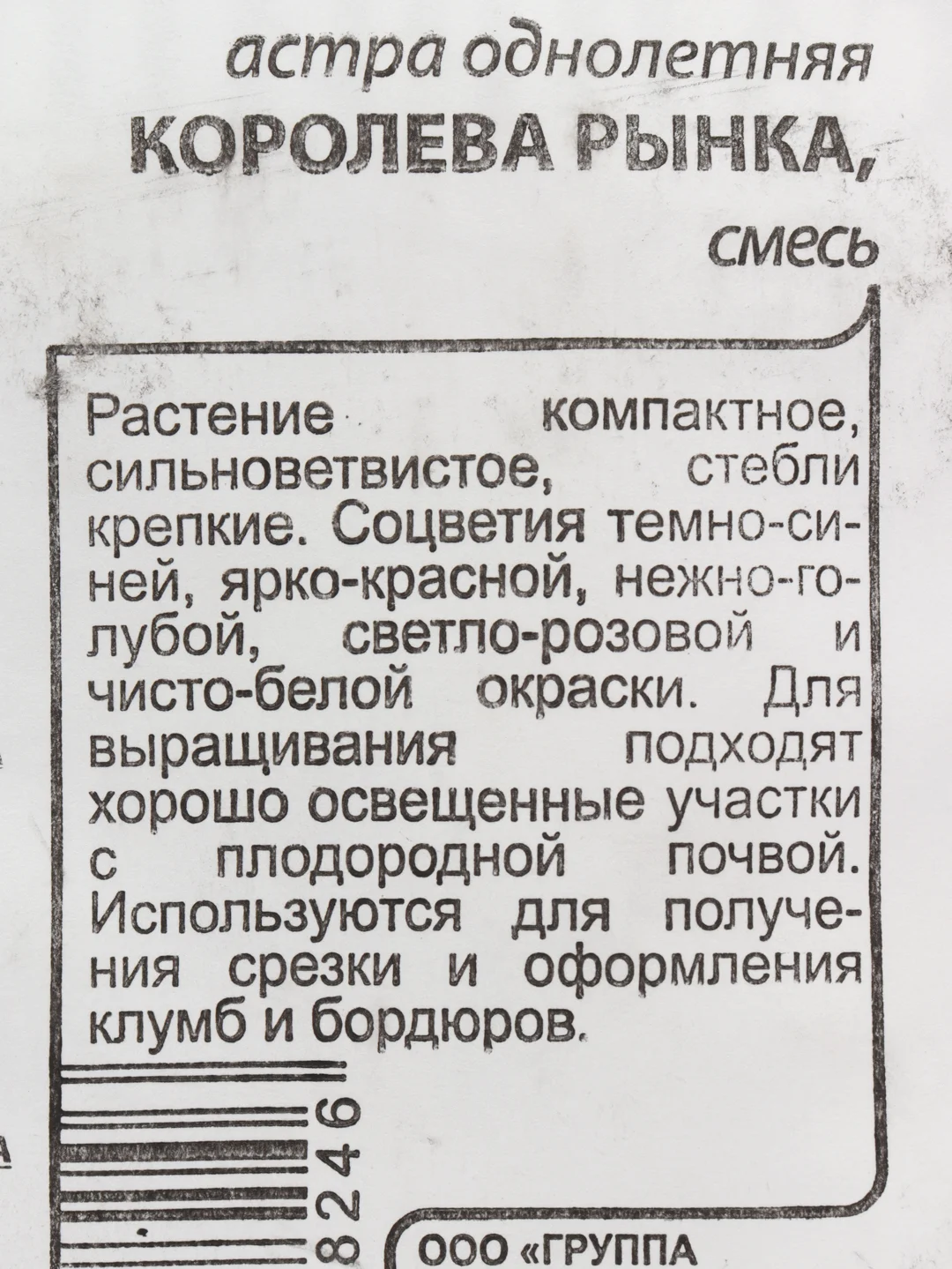 Алый астра, семена