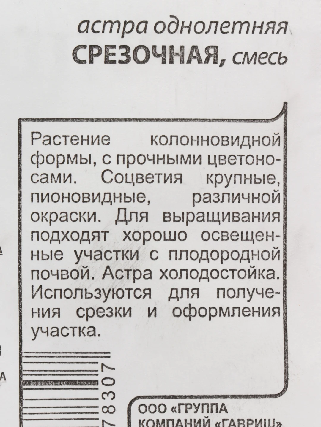 Бежевый астра, семена