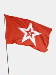 Флаг Гюйс СССР