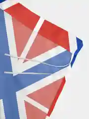 Флаг Гюйс России