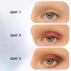 Палетка теней Influence Beauty COLOR ALGORITHM, 5 оттенков, тон 0, 5 г